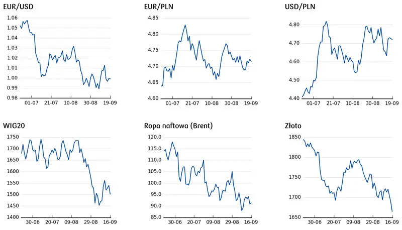 cena euro, cena dolara, cena ropy, notowania indeksu WIG20, cena złota