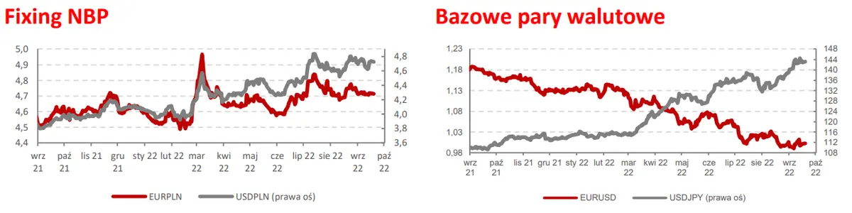 Kursy walut: Euro (EUR) tupta coraz wyżej, a kurs złotego (PLN) ma problemy z pokonaniem ważnej bariery  - 1