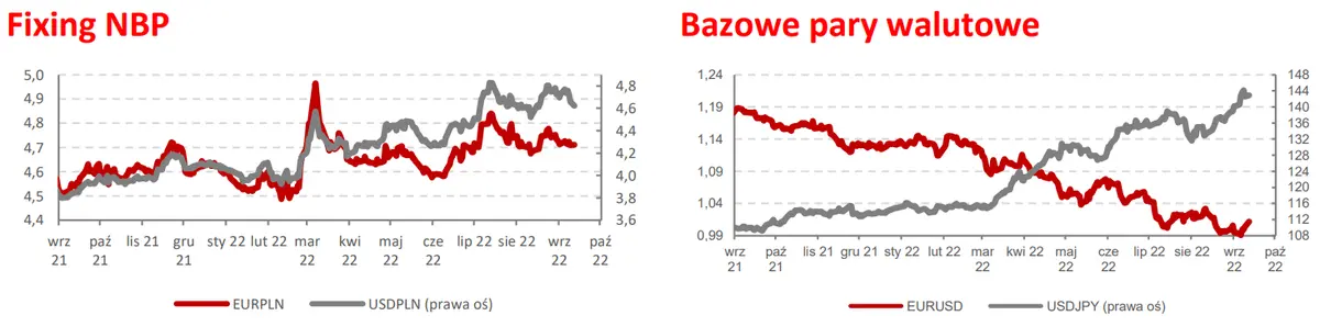 Kursy walut: Optymizm na rynkach akcji umacnia euro (EUR). Nadchodzi stabilizacja narodowej waluty (PLN)?  - 1