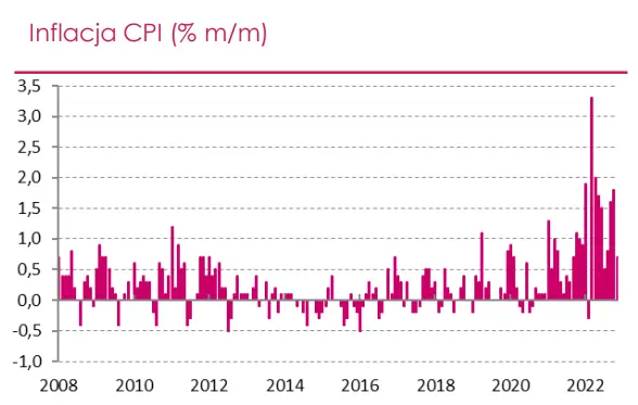 Wskaźnik CPI w Polsce zbliża się do szczytu. Czy rok 2023 będzie okresem znacznego wyhamowania presji inflacyjnej? - 1