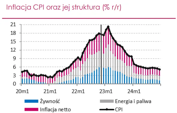 Wskaźnik CPI w Polsce zbliża się do szczytu. Czy rok 2023 będzie okresem znacznego wyhamowania presji inflacyjnej? - 3