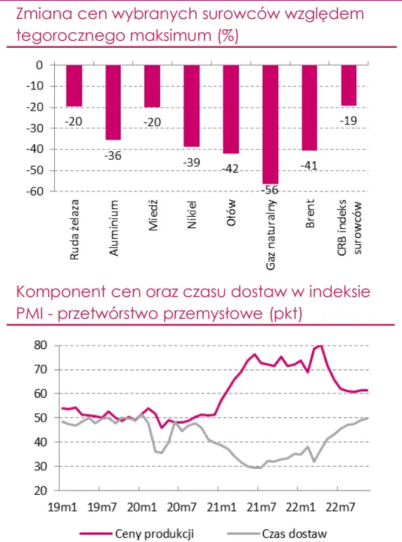 Wskaźnik CPI w Polsce zbliża się do szczytu. Czy rok 2023 będzie okresem znacznego wyhamowania presji inflacyjnej? - 4