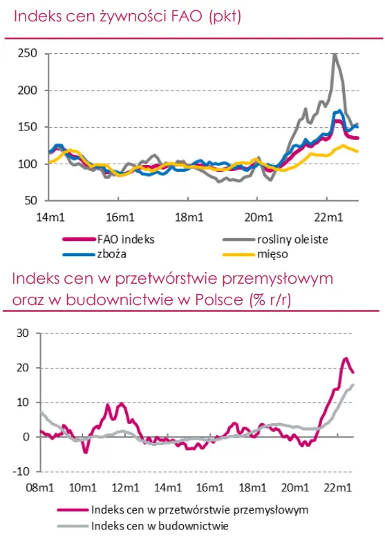 Wskaźnik CPI w Polsce zbliża się do szczytu. Czy rok 2023 będzie okresem znacznego wyhamowania presji inflacyjnej? - 5