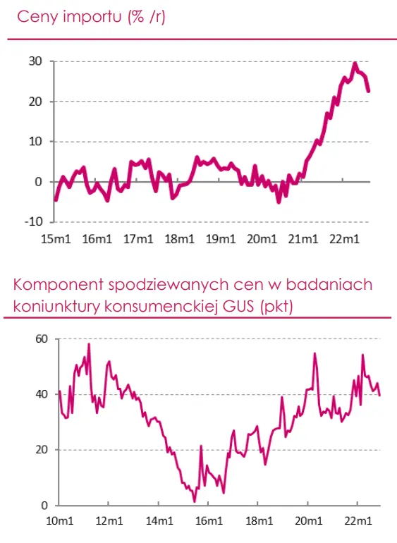 Wskaźnik CPI w Polsce zbliża się do szczytu. Czy rok 2023 będzie okresem znacznego wyhamowania presji inflacyjnej? - 6