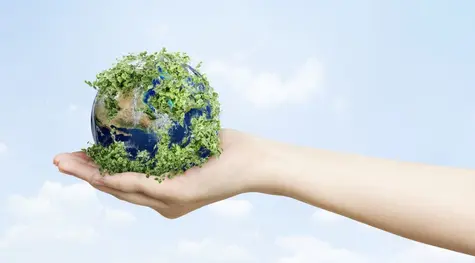 10 filarów zrównoważonego rozwoju, czyli design odpowiedzialny za dobro planety | FXMAG INWESTOR