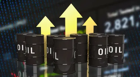 Kurs akcji spółek Orlen i Lotos. Jak dziś poradziły sobie blue chipy z sektora paliw?