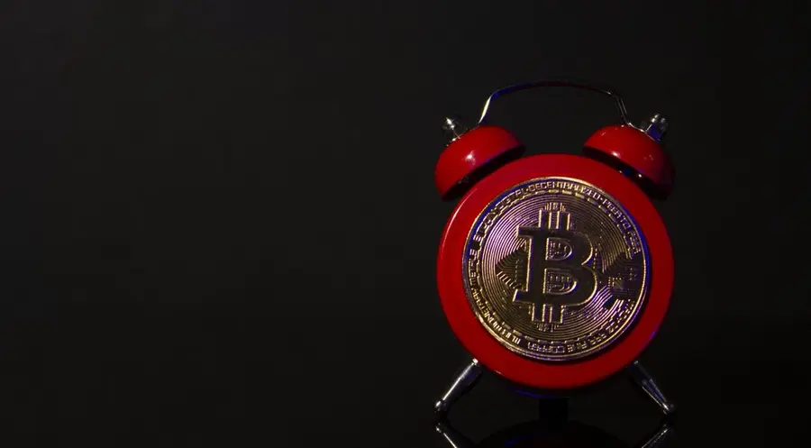 Notowania The Sandbox, Bitcoin SV, ApeCoin w poniedziałek, 21 listopada. Co się działo na rynku krypto? | FXMAG INWESTOR
