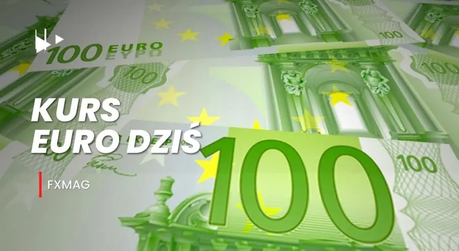 Ile kosztuje euro? Kurs euro do złotego (EUR/PLN) w poniedziałek 21.11.22 | FXMAG INWESTOR