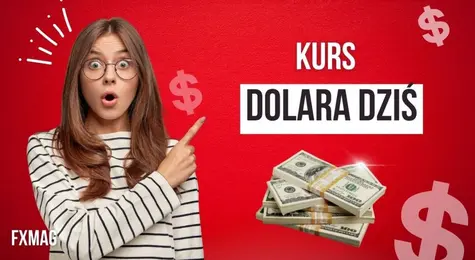 Ile kosztuje dolar? Kurs dolara do złotego (USD/PLN) w piątek 11.08.23