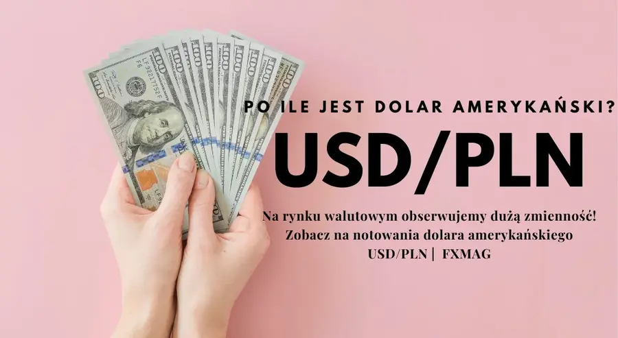 Ile kosztuje dolar? Kurs dolara do złotego (USD/PLN) w poniedziałek 11.09.23 | FXMAG INWESTOR