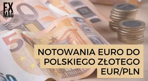 Ile kosztuje euro? Kurs euro do złotego (EUR/PLN) w czwartek 07.09.23 | FXMAG INWESTOR
