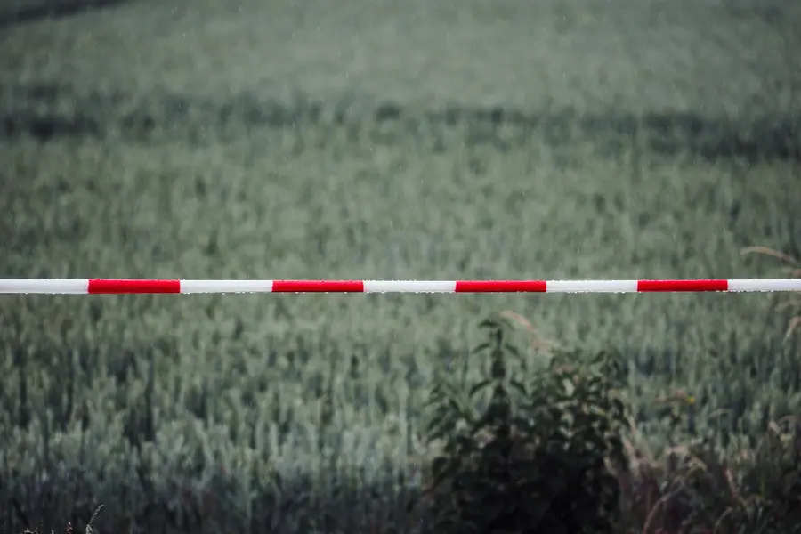 Będzie bezpieczniej w Unii? System rejestracji wjazdu/wyjazdu już niebawem