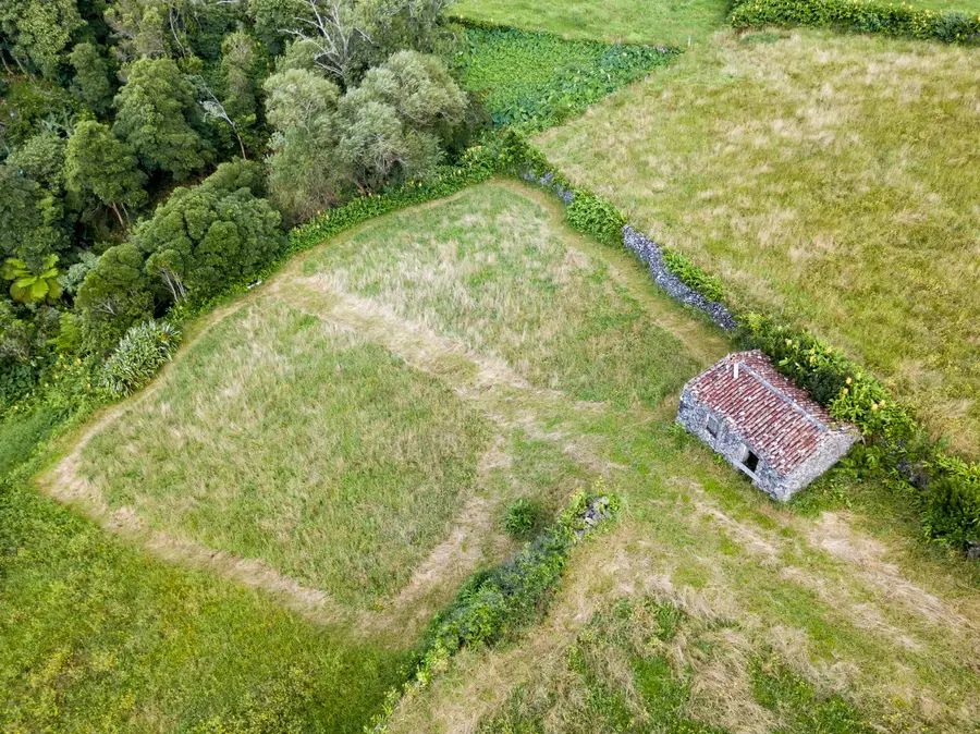 Ceny nieruchomości w Kielcach maj 2024 - ile kosztuje mieszkanie, dom a ile działka w Kielcach?