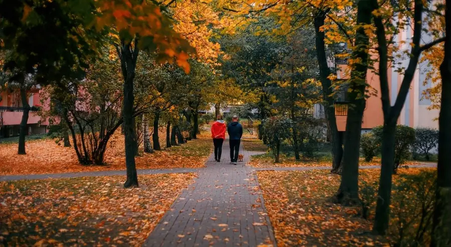 45% zakupów mieszkań dokonują inwestorzy. Jakich nieruchomości szczególnie poszukują?  | FXMAG INWESTOR