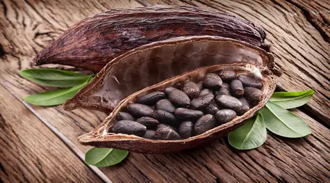 Ceny kakao idą na nowy rekord, a to nie koniec. W tym roku tona może kosztować nawet 15 tys. USD