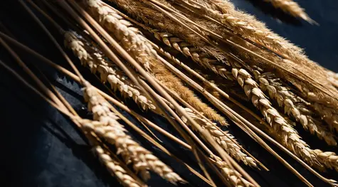 Eksplozja cen pszenicy: Co kryje się za dynamicznym wzrostem?