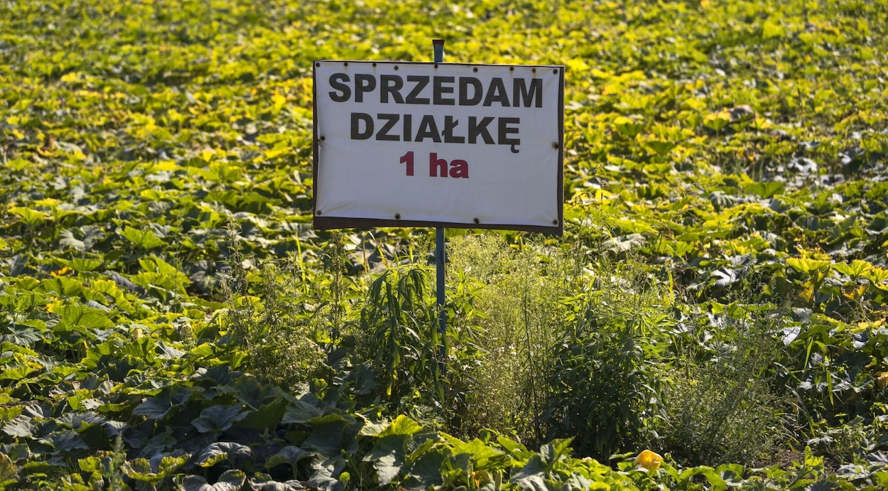 Zabraknie gruntów pod budowę mieszkań? Nowelizacja ustawy może mieć poważne skutki dla cen nieruchomości