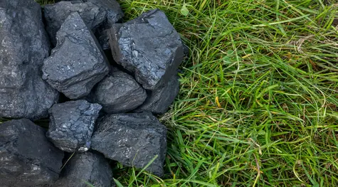 Najtańszy węgiel w Polsce – gdzie go kupić? Zobacz, ile kosztuje ekogroszek oraz ile za tonę węgla dzisiaj – 17 kwietnia 2024