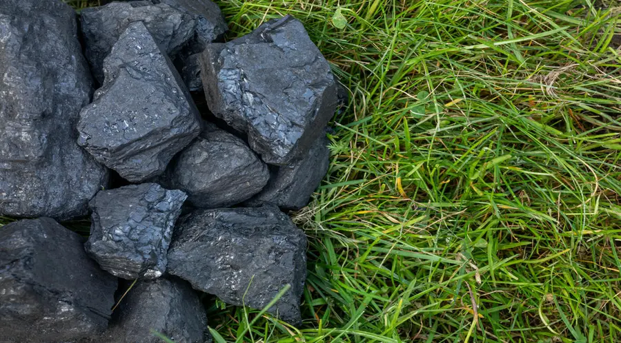 Najtańszy węgiel w Polsce – gdzie go kupić? Zobacz, ile kosztuje ekogroszek oraz ile za tonę węgla dzisiaj – 17 kwietnia 2024