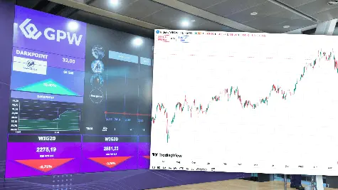 GPW pod znakiem niedźwiedzi. Inwestorzy Genomtec liczą straty.