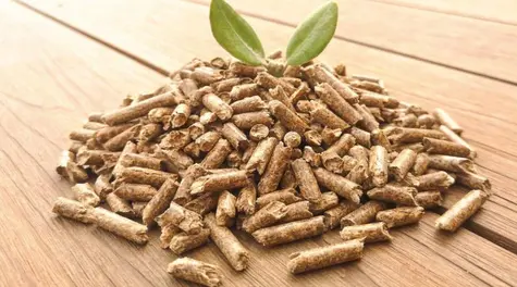 Pellet drzewny Podlaskie – gdzie kupić dobry pellet i brykiet RUF w regionie?