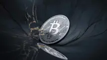 Kurs bitcoina (BTC/USD, BTC/PLN) nadal spada. Polski poseł chce ratować branżę kryptowalut