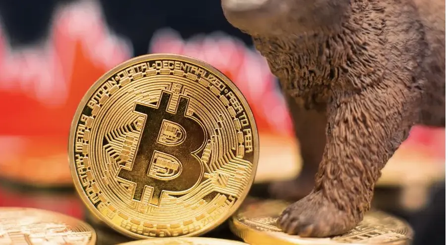 Dane o zatrudnieniu mogą wpłynąć na decyzje Fed o obniżkach stóp, rentowności obligacji skarbowych oraz sytuację na rynkach kryptowalut