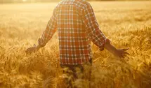 Rolnik znalazł w polu złoty skarb i z miejsca stał się milionerem