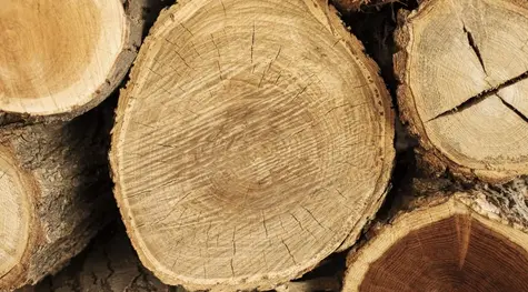 Analitycy PKO: mocno rośnie popularność budownictwa drewnianego w Polsce | FXMAG INWESTOR