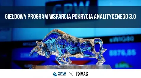 Analitycy pozytywnie oceniają spółkę z GPW – perspektywy są zdumiewające | FXMAG INWESTOR