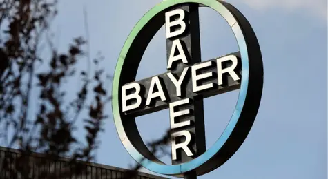 Bayer stał się wyborem cierpliwych inwestorów | FXMAG INWESTOR