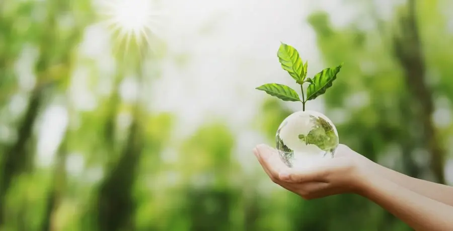 Bio Planet, wiodąca Spółka na polskim rynku konfekcjonowania i dystrybucji żywności ekologicznej, poprawia wrześniowe wyniki | FXMAG INWESTOR