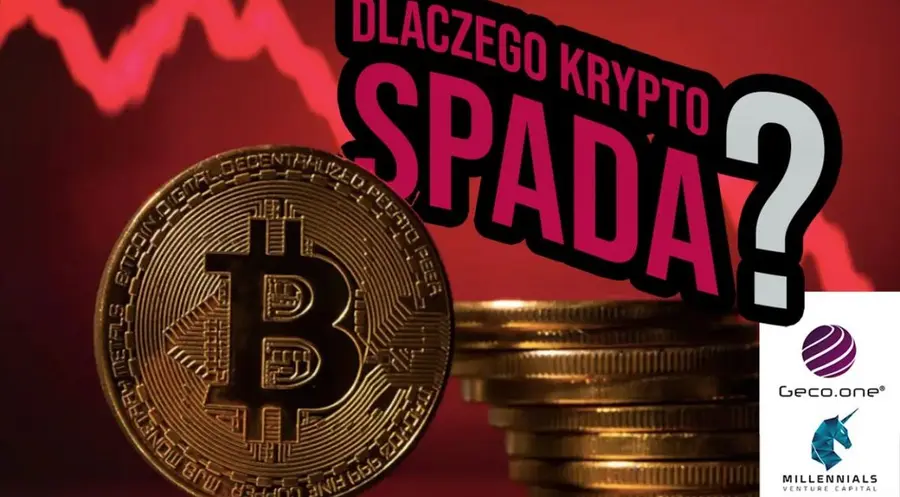 Bitcoin i rynek kryptowalut spada - co to oznacza dla giełd krypto i jakie są perspektywy na przyszłość? | Wywiad Millennialls VC i Geco One | FXMAG INWESTOR