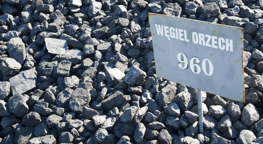 Cena węgla idzie w górę! Zobacz, ile kosztuje ekogroszek oraz ile za tonę węgla w Polsce – 4 marca 2024