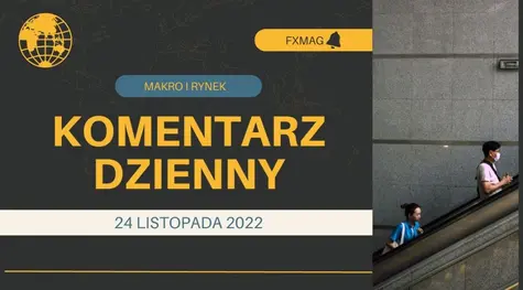 Rynek walutowy pod wpływem rekordowego poziomu zachorowań na COVID [kursy walut na dziś: EUR/PLN, USD/PLN, CHF/PLN, EUR/USD] | FXMAG INWESTOR