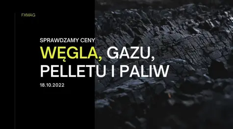 Cena węgla mocno w dół. Omijaj stacje paliw szerokim łukiem! Ile kosztuje tona pelletu i węgla? Sprawdzamy ceny węgla, pelletu, gazu i paliw we wtorek (18.10.2022) | FXMAG INWESTOR