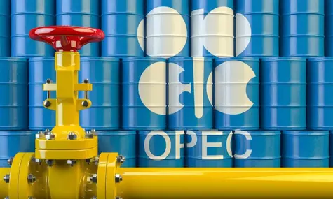 Ceny ropy naftowej rosną w obliczu oczekiwań na ograniczenie produkcji | FXMAG INWESTOR