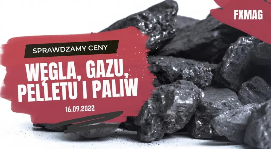 Ceny węgla i paliw spadają! Dodatek węglowy będzie niższy?! Ile zapłacimy za pellet? Sprawdzamy ceny węgla, pelletu i paliw przed weekendem (16.09.2022)