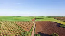 Ceny ziemi rolnej w Polsce zaskakują! Zobacz dlaczego mocno rosną