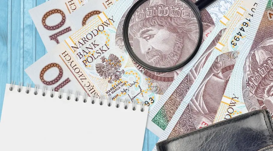Co dalej z polskim złotym? Sprawdzamy jaki jest kurs euro, funta, franka i dolara | FXMAG INWESTOR