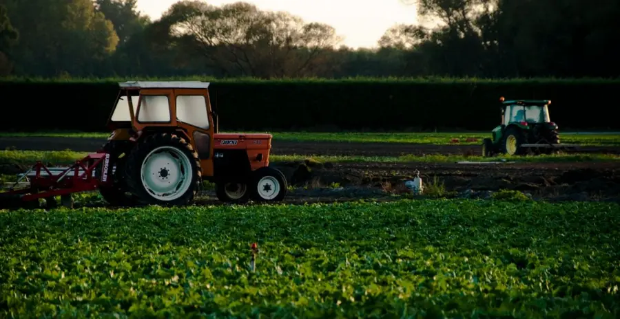 Co dzieje się na rynku produktów rolnych? | FXMAG INWESTOR