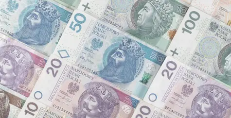 Co z polskim złotym w 2021 roku? Frank, dolar, euro i funt na rynku Forex. Prognozy walutowe | FXMAG INWESTOR