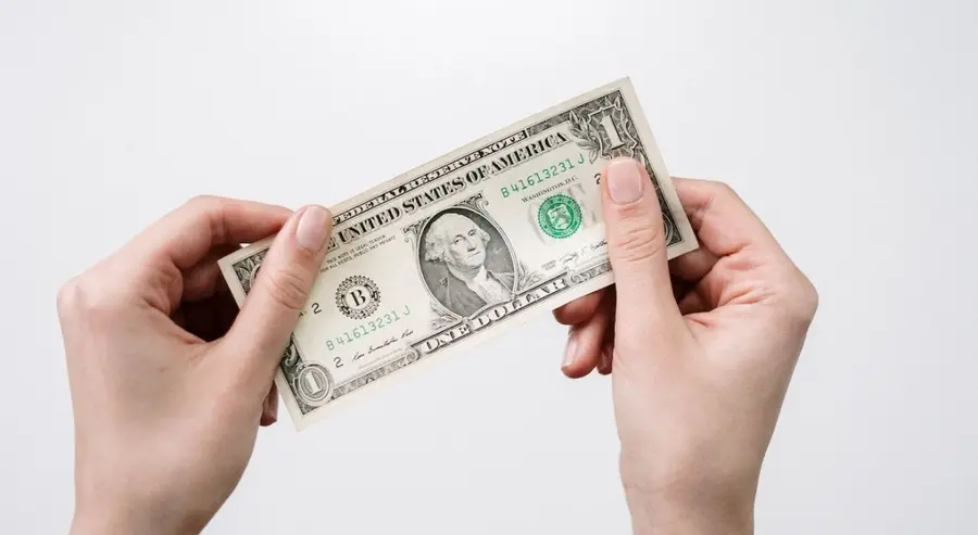 Czy warto już teraz kupować dolary amerykańskie? Rekomendacje handlowe 27.12.2022 rok | FXMAG INWESTOR