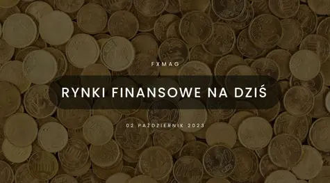 Dane inflacyjne namieszały na rynku eurodolara (EUR/USD). Polski złoty (PLN) skorzystał na tych przetasowaniach?  | FXMAG INWESTOR