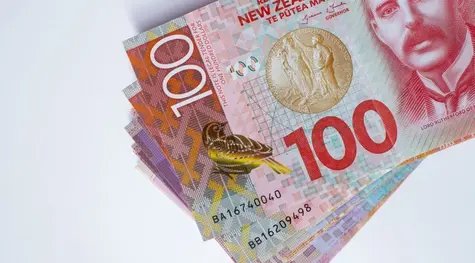 Dolar nowozelandzki (NZD), dolar amerykański (USD) i polski złoty (PLN) we środę, 26 maja. Kalendarz ekonomiczny Forex | FXMAG INWESTOR