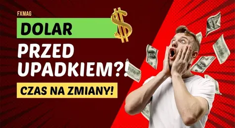 Dolar przed upadkiem?! USD jest najsilniejszą walutą na świecie, czas na zmiany! W grudniu może dojść do przesilenia, wieszczy ekspert | FXMAG INWESTOR