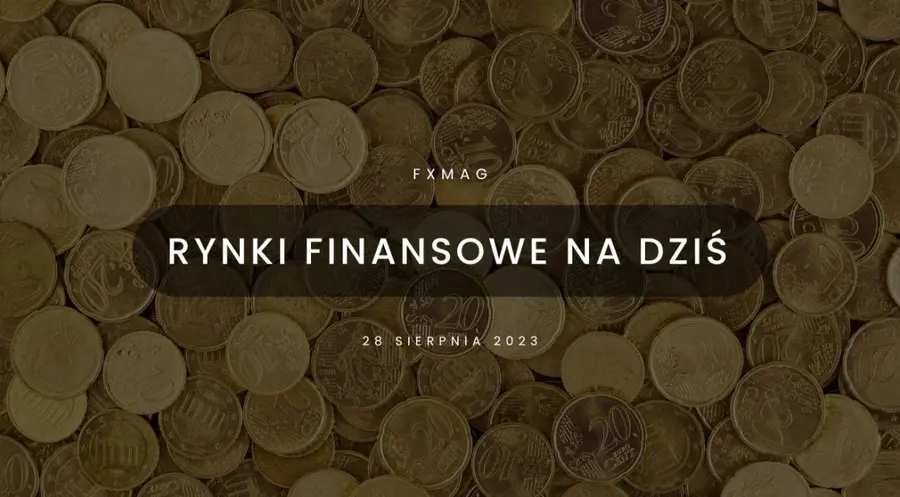 Eurodolar (EUR/USD) potrzebuje mocnego impulsu aby dalej ruszyć w dół [rynki finansowe] | FXMAG INWESTOR