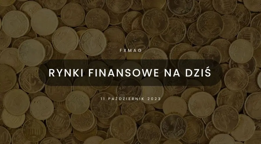 Eurodolar (EUR/USD) sięga 2-tygodniowego maksimum. Polski złoty (PLN) wywalczył już 10 groszy  | FXMAG INWESTOR