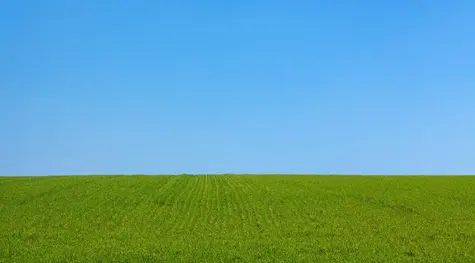 Fenomenalny zryw byków na indeksie WIG20. Takiej zieleni już dawno nie było. Większość znowu nie miała racji? | FXMAG INWESTOR