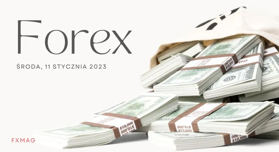 FOREX: Dobre nastroje nie opuszczają eurodolara (EUR-USD) | FXMAG INWESTOR